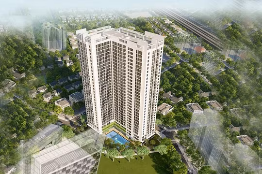 Dự án An Bình Plaza của Glexhomes