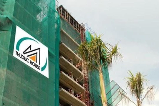 Ngoài Louis Land, doanh nghiệp này cũng gom mua cả triệu cổ phiếu TDH 