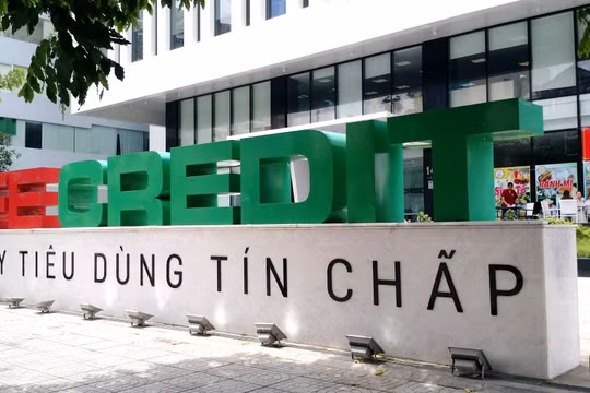 Tích cực ‘cắt bỏ’ nợ xấu, lợi nhuận FE Credit sẽ phục hồi trong năm 2022?