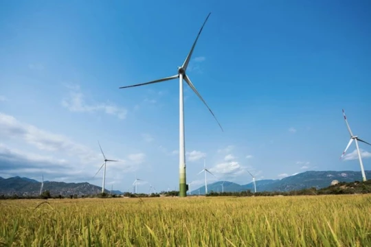 PTC có tham vọng lớn trong lĩnh vực điện gió. Ảnh: Internet 