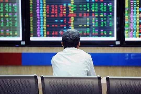 Đại gia bí ẩn Nguyễn Phương Đông - cổ đông lớn của HDG và GIL (Ảnh minh hoạ - Nguồn: Internet)