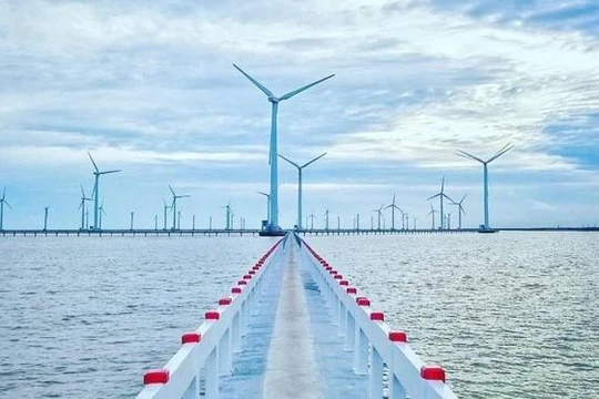 Asiapetro, Novasia Energy – những cái tên ‘lạ’ tại dự án điện gió La Gàn 10 tỉ USD (Ảnh minh hoạ)