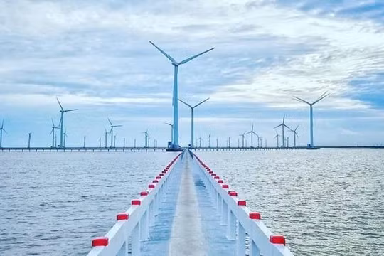 Asiapetro, Novasia Energy – những cái tên ‘lạ’ tại dự án điện gió La Gàn 10 tỉ USD (Ảnh minh hoạ)