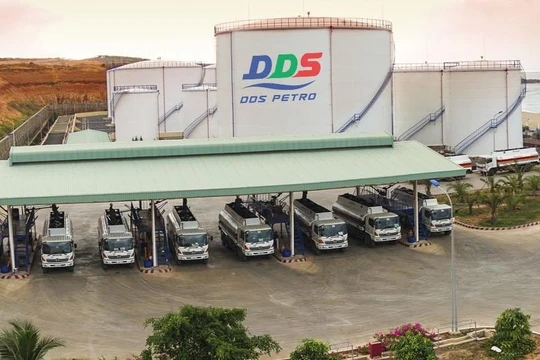 Sơ phác Dương Đông Group – ‘tay chơi’ ít biết ở Cảng quốc tế Vạn Ninh