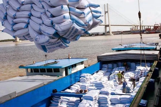 Gạo Việt trước nguy cơ bị giả mạo xuất xứ, mất thị phần (Ảnh minh hoạ - Nguồn: Internet)