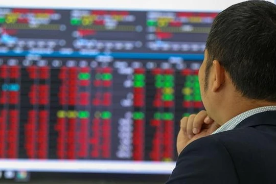 Cổ đông lớn Trần Duy Kiều của TGG là ai?