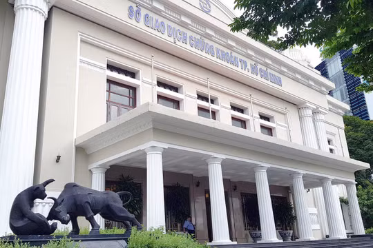 Lợi nhuận HOSE, HNX thăng hoa trong năm 2020