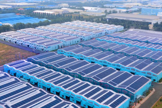 Reuters: VinaCapital tính bán công ty năng lượng tái tạo SkyX Solar 