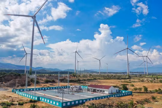 Trungnam Group vận hành thương mại dự án Điện gió số 5 - Ninh Thuận
