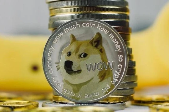 Ngay cả Elon Musk cũng cảnh báo cẩn trọng khi đầu tư vào Dogecoin