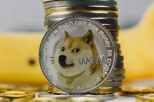 Ngay cả Elon Musk cũng cảnh báo cẩn trọng khi đầu tư vào Dogecoin