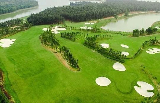 Ảnh minh hoạ (Nguồn: Internet)