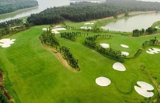 Ảnh minh hoạ (Nguồn: Internet)