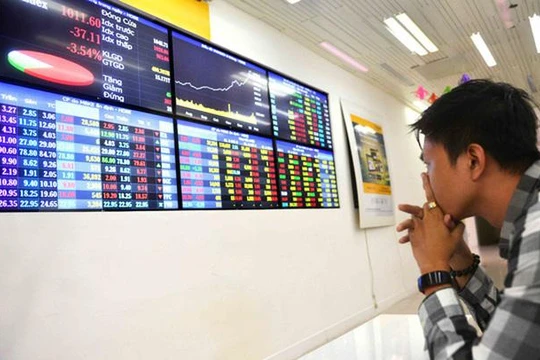 Ảnh minh hoạ (Nguồn: Internet)