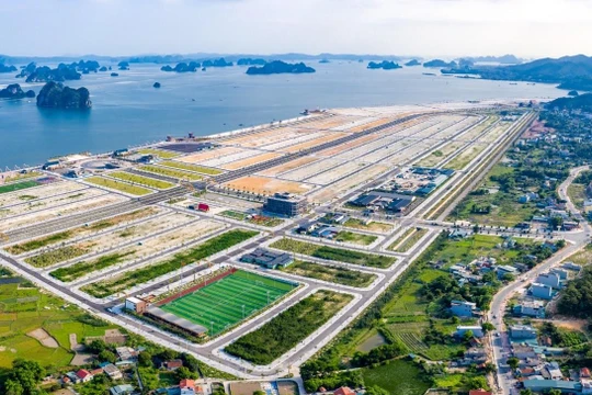 Dự án Khu đô thị Phương Đông Vân Đồn từ trên cao