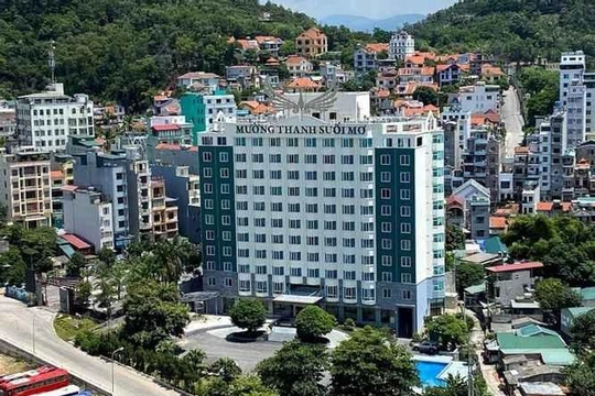 Mổ xẻ khoản lãi đột biến của OCH năm 2020