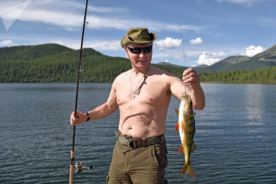Ông Putin cởi trần đi câu cá trong rừng taiga