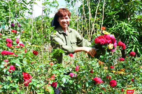 Nguyễn Việt Anh- Chủ vườn hồng lớn nhất Tây Nguyên