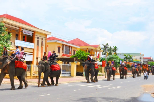 Đoàn rước dâu trên lưng voi dạo qua thị trấn Liên Sơn, huyện Lắk
