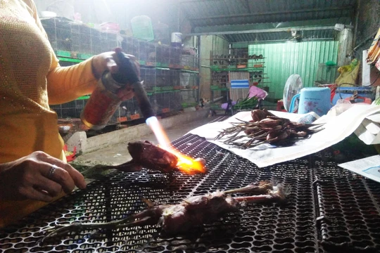 Hy vọng hành vi bạo tàn này sẽ không còn tái diễn tại Thạnh Hóa