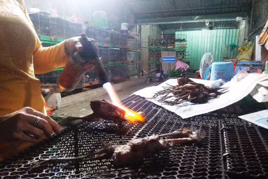 Hy vọng hành vi bạo tàn này sẽ không còn tái diễn tại Thạnh Hóa