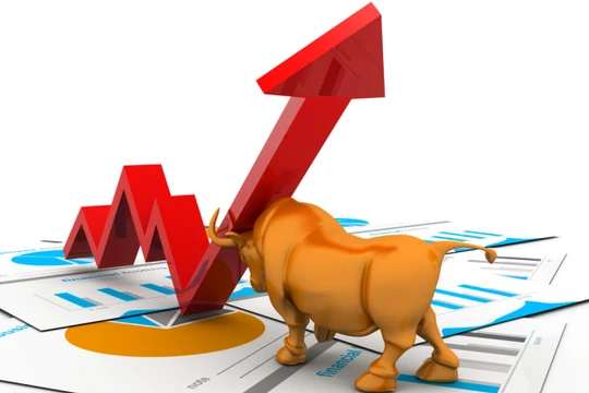 Bullish market (Nguồn: Internet)