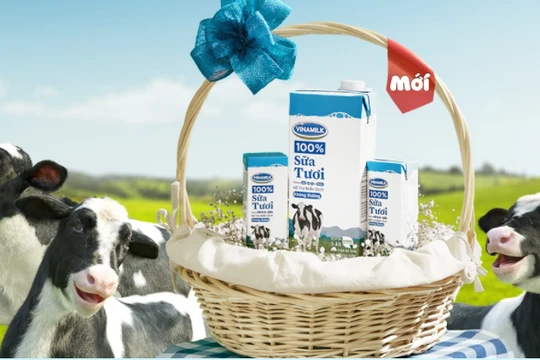 Ảnh minh họa (Nguồn: VNM)