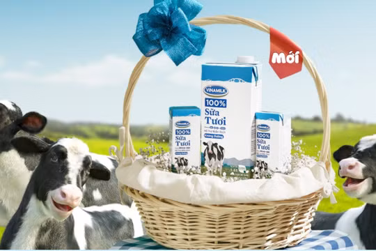 Đấu giá cổ phần SCIC tại Công ty Cổ phần Sữa Việt Nam - VNM (Nguồn: VNM)