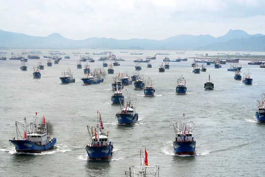 Hạm đội tàu cá Trung Quốc.
