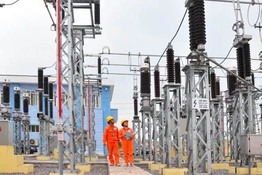 Ảnh minh họa (Nguồn: Internet)