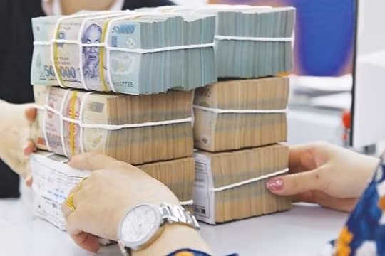 Ảnh minh họa (Nguồn: Internet)