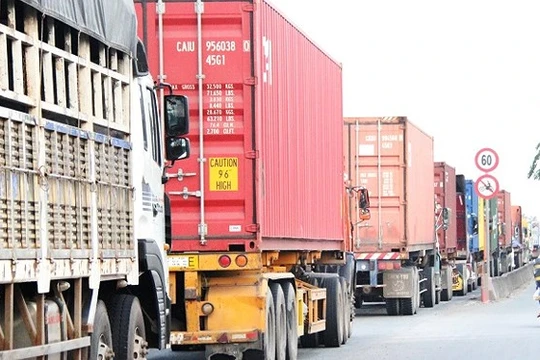 Ảnh minh họa (Nguồn: Internet)