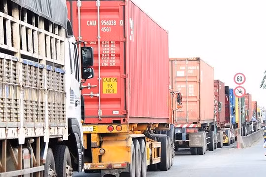 Ảnh minh họa (Nguồn: Internet)