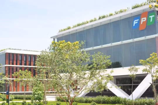 Ảnh minh họa (Nguồn: Internet)