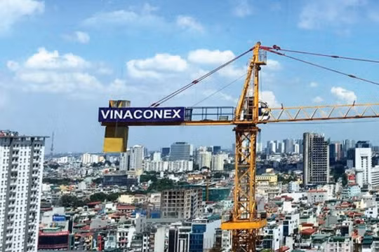 Ảnh minh họa (Nguồn: Internet)