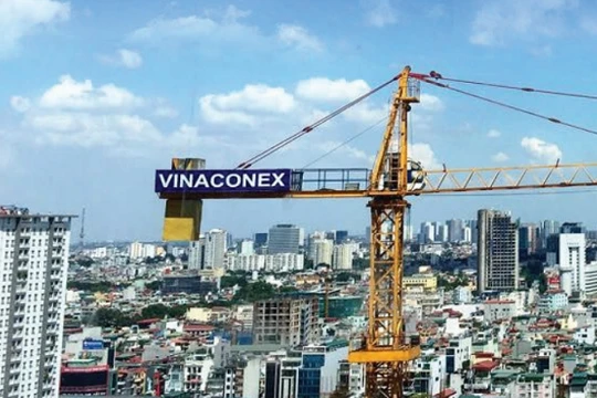 Ảnh minh họa (Nguồn: Internet)