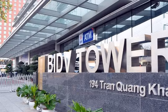 Ảnh minh họa (Nguồn: Internet)