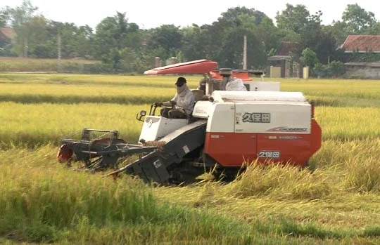 Nông dân Nam Đàn thu hoạch lúa hè thu 2018 (Nguồn: nghean.gov.vn)
