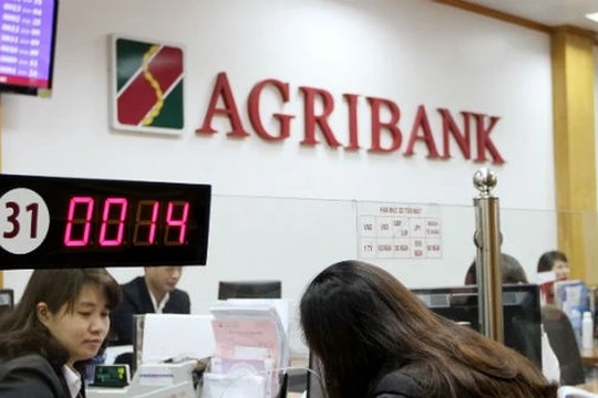 Ảnh minh họa (Nguồn: Internet)