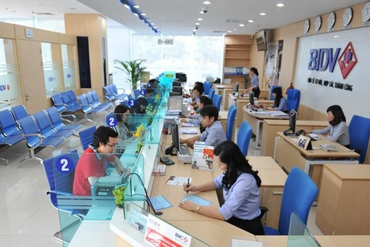 Ảnh minh họa (Nguồn: Internet)