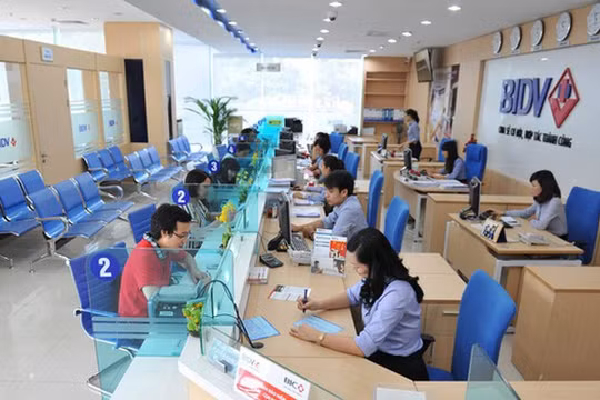 Ảnh minh họa (Nguồn: Internet)