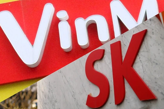 Ảnh minh họa (Nguồn: Internet)