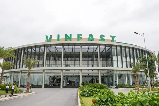 Ảnh minh họa (Nguồn: Internet)