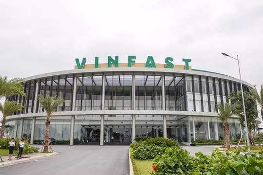 Ảnh minh họa (Nguồn: Internet)