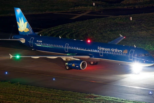 Ảnh minh họa (Nguồn: Internet)