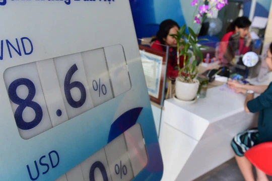 Ảnh minh họa (Nguồn: Internet)