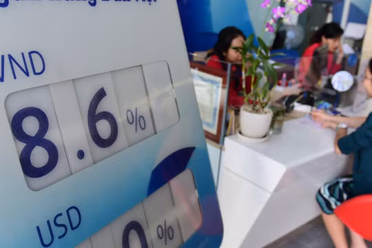 Ảnh minh họa (Nguồn: Internet)