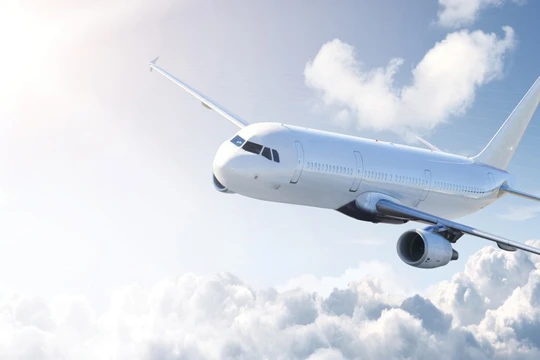 Ảnh minh họa (Nguồn: Internet)