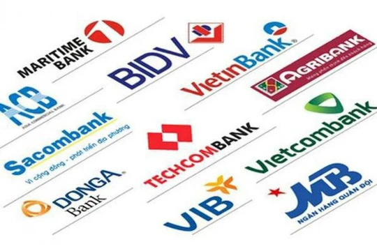 Ảnh minh họa (Nguồn: Internet)