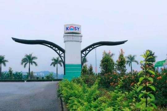 Ảnh minh họa (Nguồn: Internet)